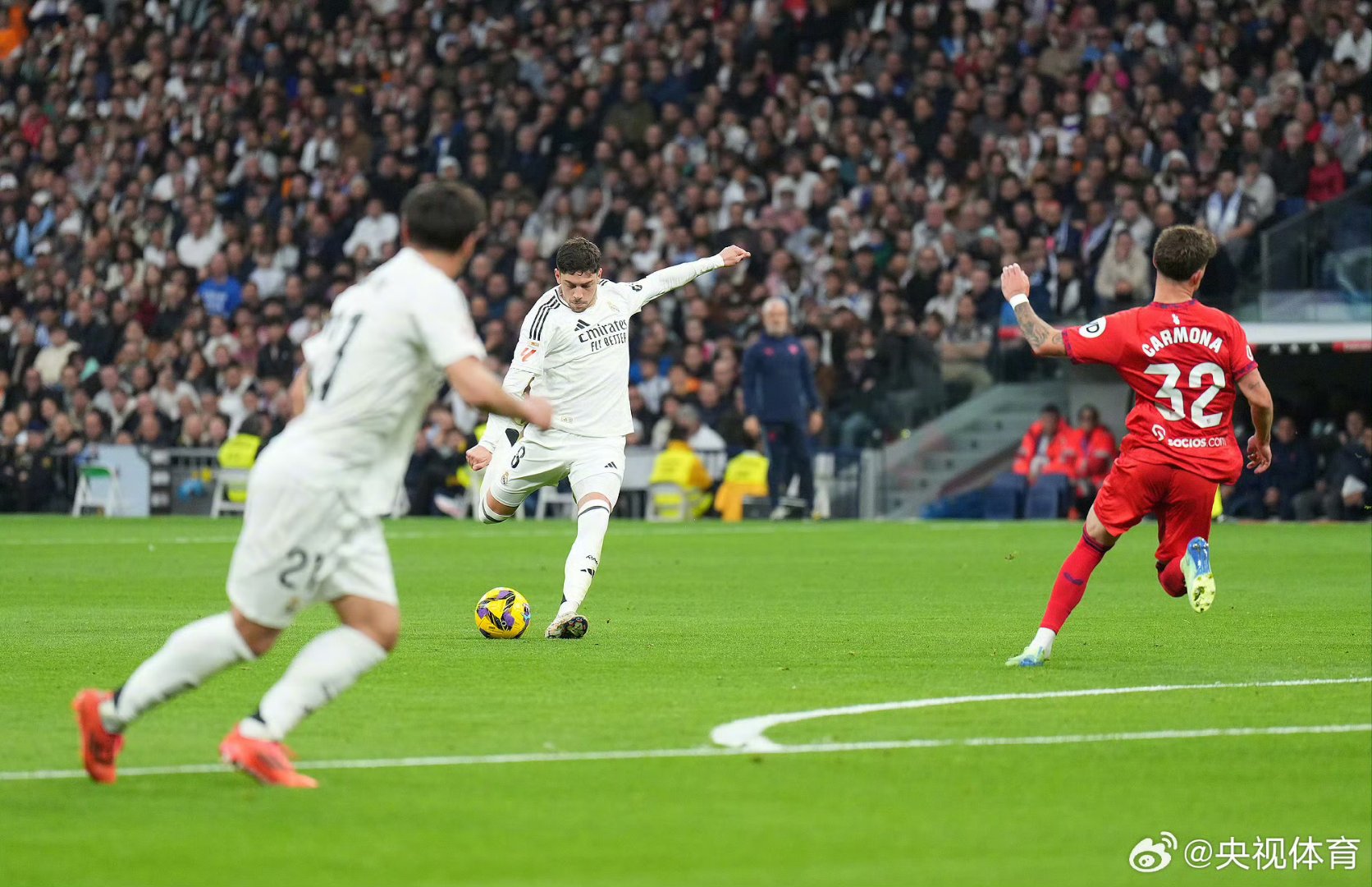 “童话小马一家”穿上彩色服饰 全面完工等你来打卡哈尔滨（李磊）