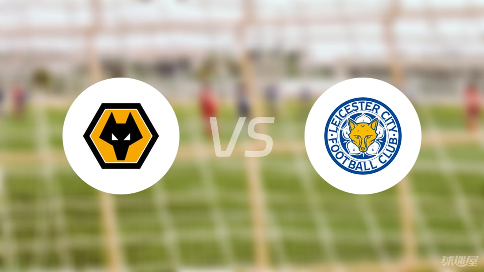 斯内德：德荷球星出国踢球有适应问题，维尔茨需加速证明自己